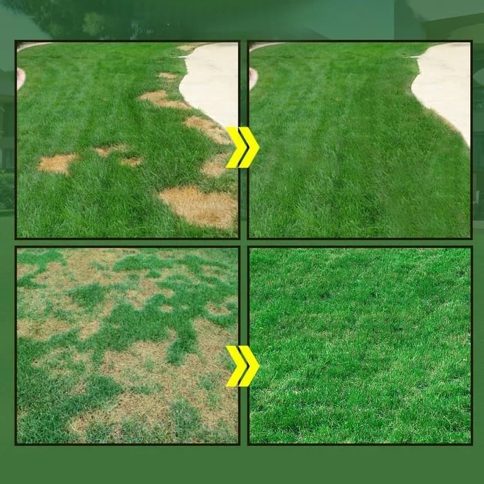 🔥Last Day 60% OFF🔥 TLOPA® GreenRevive HydroSeeding Lawn Solution