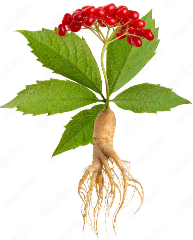 Cvreoz® DermaLump Relief Spray 30 Cvreoz® DermaLump Relief Spray