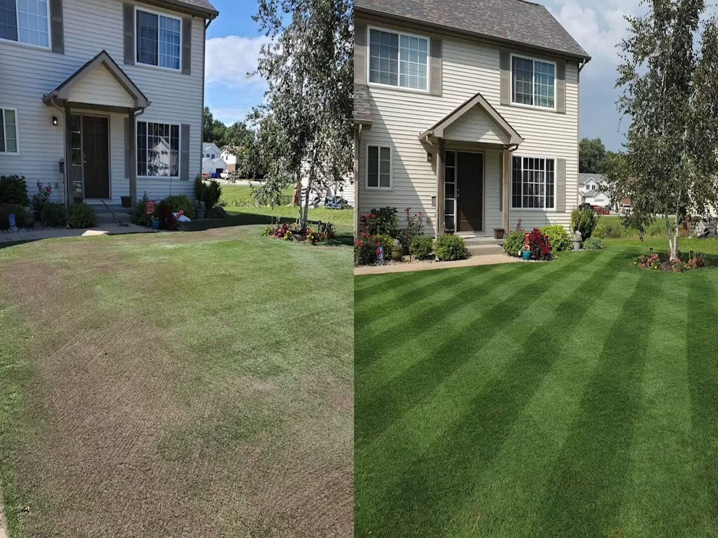 🔥Last Day 60% OFF🔥 TLOPA® GreenRevive HydroSeeding Lawn Solution