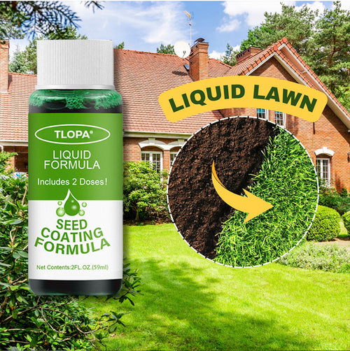 🔥Last Day 60% OFF🔥 TLOPA® GreenRevive HydroSeeding Lawn Solution