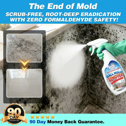 🎉SPECIAL OFFER: 60% OFF TODAY🔥 TLOPA® Fast Acting Anti Mold Wall Cleaner Spray