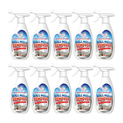 TLOPA® Fast Acting Anti Mold Wall Cleaner Spray