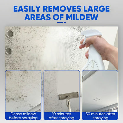 🎉SPECIAL OFFER: 60% OFF TODAY🔥 TLOPA® Fast Acting Anti Mold Wall Cleaner Spray