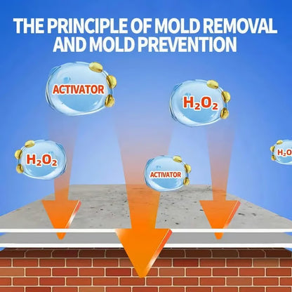 🎉SPECIAL OFFER: 60% OFF TODAY🔥 TLOPA® Fast Acting Anti Mold Wall Cleaner Spray